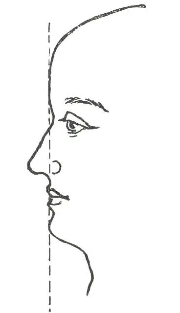 Fig 20 CHIN STUDY The above points regarding the chin must always be taken - фото 22