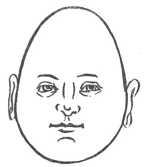 Fig 17 INVERTED EGGSHAPED FACE In Figs 18 and 19 respectively we see the - фото 19