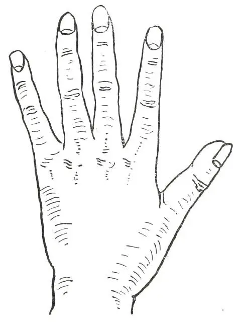 Fig 25 ARTISTIC HAND In Fig 25 we see the Artistic Hand the special - фото 27