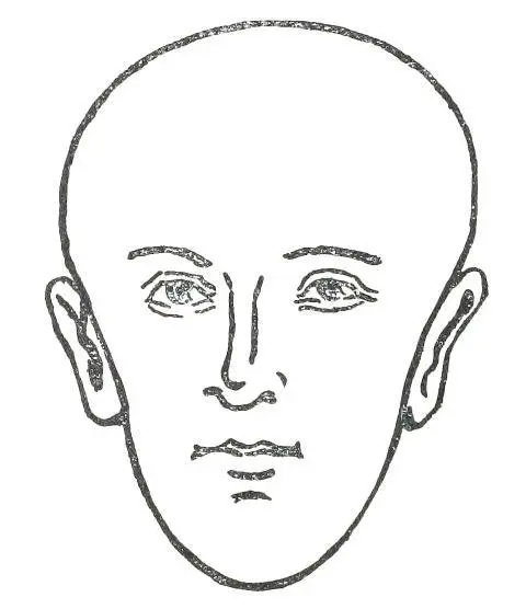 Fig 14 PEARSHAPED FACE In Fig 14 we see the Pearshaped Face This face is - фото 16