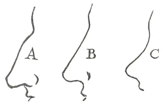 Fig 21 A ROMAN B GRECIAN C CHERUBIC All physiognomists agree upon the - фото 23