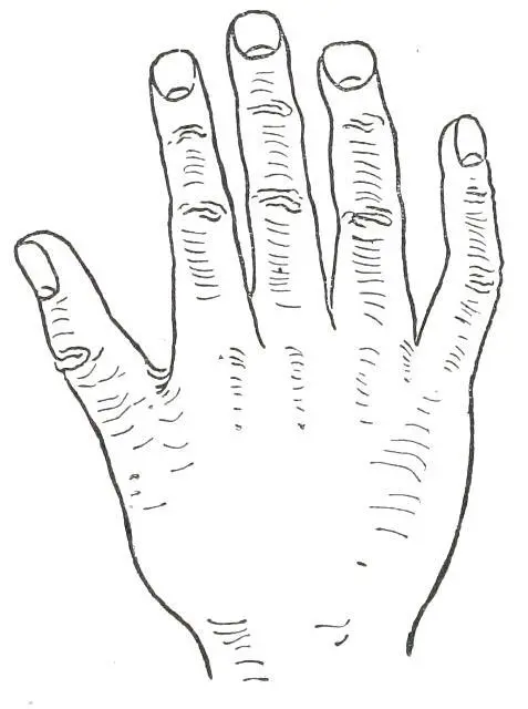 Fig 26 ELEMENTARY HAND In Fig 26 we see the Elementary Hand the special - фото 28