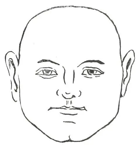 Fig 18 BROAD FACE The above mentioned several types or classes of faces have - фото 20