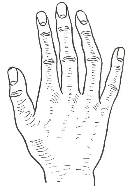 Fig 27 PHILOSOPHIC HAND In Fig 27 we have the Philosophic Hand the special - фото 29