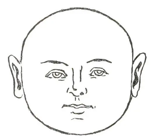 Fig 12 ROUND FACE In Fig 12 we see the Round Face This face is indicative - фото 14