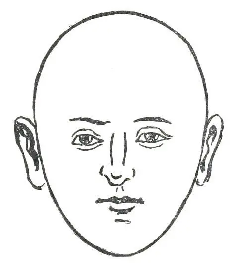 Fig 16 EGGSHAPED FACE In Fig 17 we see the InvertedEggshaped Face This - фото 18