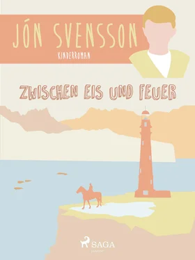 Jón Svensson Zwischen Eis und Feuer обложка книги
