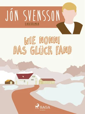 Jón Svensson Wie Nonni das Glück fand обложка книги