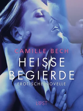 Camille Bech Heiße Begierde - Erotische Novelle обложка книги
