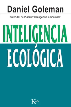 Daniel Goleman Inteligencia ecológica обложка книги