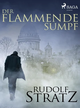 Rudolf Stratz Der flammende Sumpf обложка книги