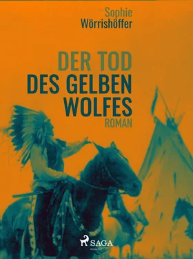 Sophie Wörrishöffer Der Tod des gelben Wolfes обложка книги