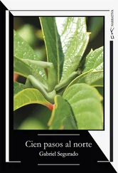 Gabriel Segurado - Cien pasos al norte