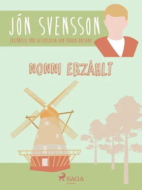 Jón Svensson Nonni erzählt: Erlebnisse und Geschichten vom frohen Öresund. обложка книги