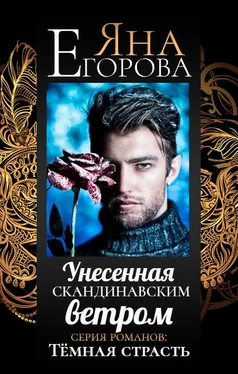 Яна Егорова Унесенная скандинавским ветром обложка книги