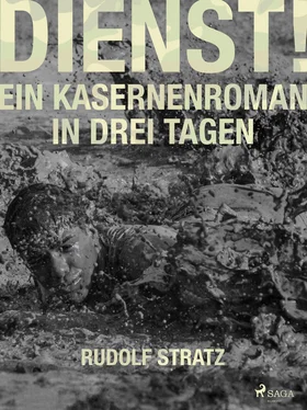 Rudolf Stratz Dienst! Ein Kasernenroman in drei Tagen обложка книги