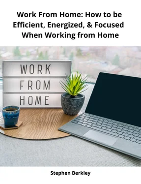 Stephen Berkley Work From Home: How to be Efficient, Energized, & Focused When Working from Home обложка книги
