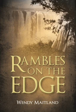 Wendy Maitland Rambles on the Edge обложка книги