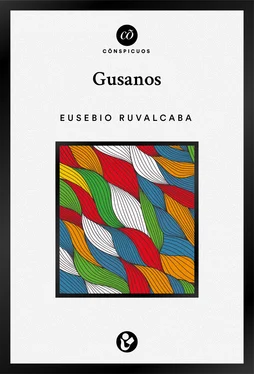 Eusebio Ruvalcaba Gusanos обложка книги