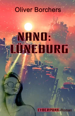 Oliver Borchers Nano: Lüneburg обложка книги