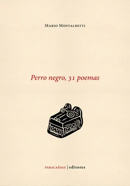 Mario Montalbetti Perro negro, 31 poemas обложка книги