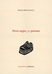 Mario Montalbetti - Perro negro, 31 poemas