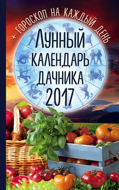 Радмила Канельская Лунный календарь дачника 2017. Гороскоп на каждый день обложка книги