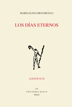 María Elena Higueruelo Illana Los días eternos обложка книги