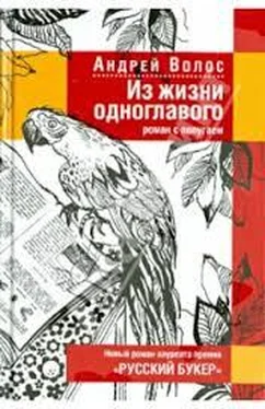 Андрей Волос Из жизни одноглавого обложка книги