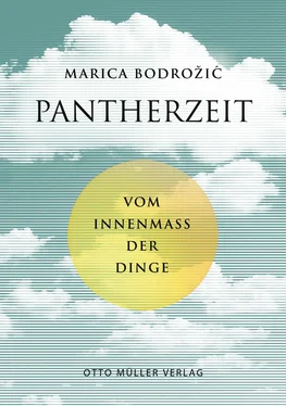 Marica Bodrozic Pantherzeit обложка книги