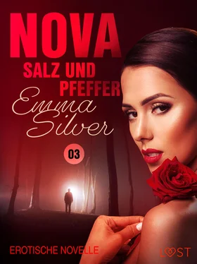 Emma Silver Nova 3 - Salz und Pfeffer: Erotische Novelle обложка книги