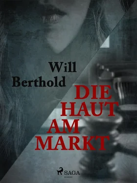 Will Berthold Die Haut am Markt обложка книги
