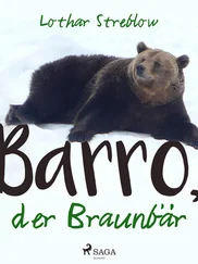 Lothar Streblow - Barro, der Braunbär