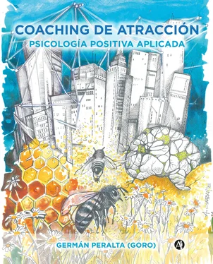 Germán Peralta Coaching de Atracción обложка книги