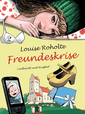 Louise Roholte Freundeskrise обложка книги