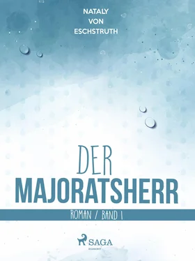 Nataly von Eschstruth Der Majoratsherr Bd. 1 обложка книги