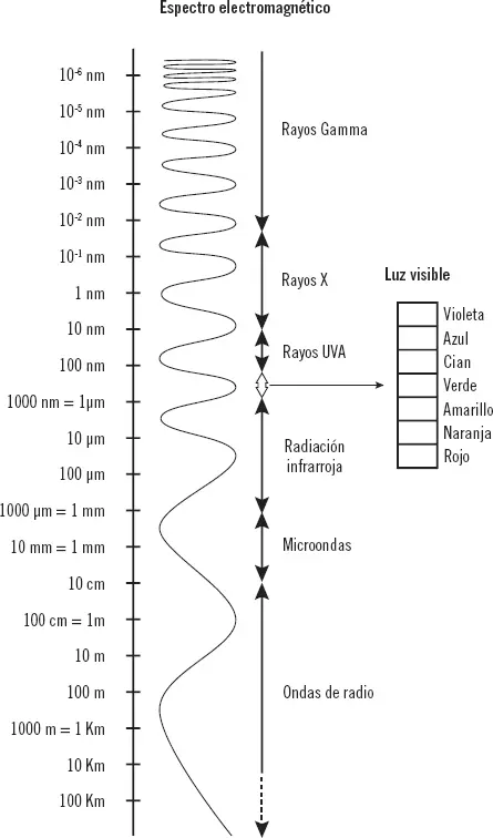 La longitud de onda λ y la frecuencia f se relacionan con la expresión λ - фото 14