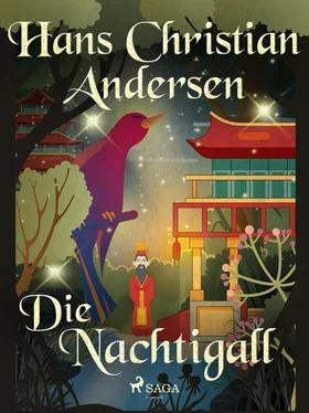 Hans Christian Die Nachtigall обложка книги