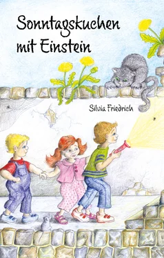 Silvia Friedrich Sonntagskuchen mit Einstein обложка книги