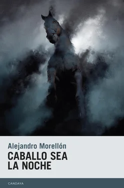 Alejandro Morellón Caballo sea la noche обложка книги