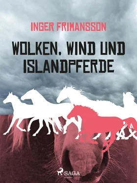 Inger Frimansson Wolken, Wind und Islandpferde обложка книги