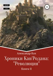 Александр Кох - Хроники Кан'Родана - «Революция»