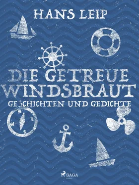 Hans Leip Die getreue Windsbraut обложка книги