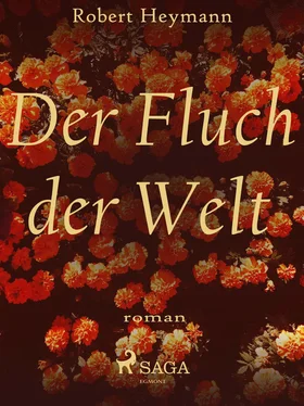 Robert Heymann Der Fluch der Welt обложка книги