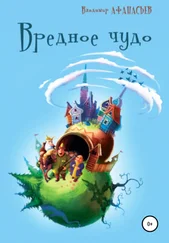 Владимир Афанасьев - Вредное чудо