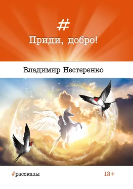 Владимир Нестеренко Приди, добро! обложка книги