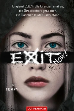 Teri Terry EXIT NOW! обложка книги