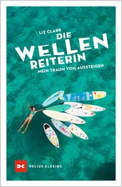 Liz Clark Die Wellenreiterin обложка книги