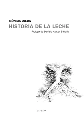 Mónica Ojeda Historia de la leche обложка книги