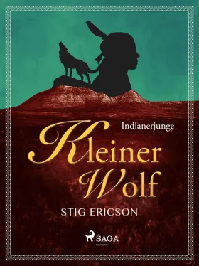Stig Ericson Indianerjunge Kleiner Wolf обложка книги